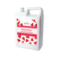 Watermelon | Multi-Use | Bubble Tea Syrup | Fruit Puree | Fruit Smoothie/Slushie Mix | Foodservice Canada | Ships Free Within Canada on Orders Above CAD $199